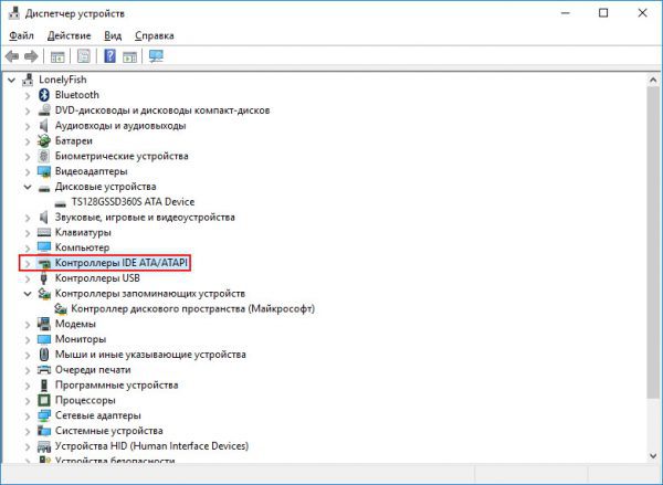 Раздел контроллеров дисков в диспетчере устройств