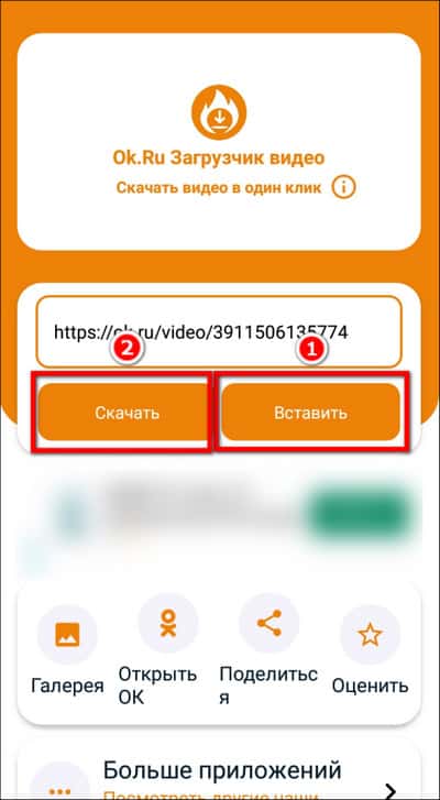 вставка ссылки в Ok.Ru Downloader